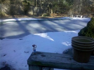 Woody checking out the melting on the pool cover (no leaks this year)