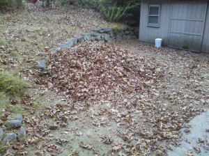 Leaf Pile